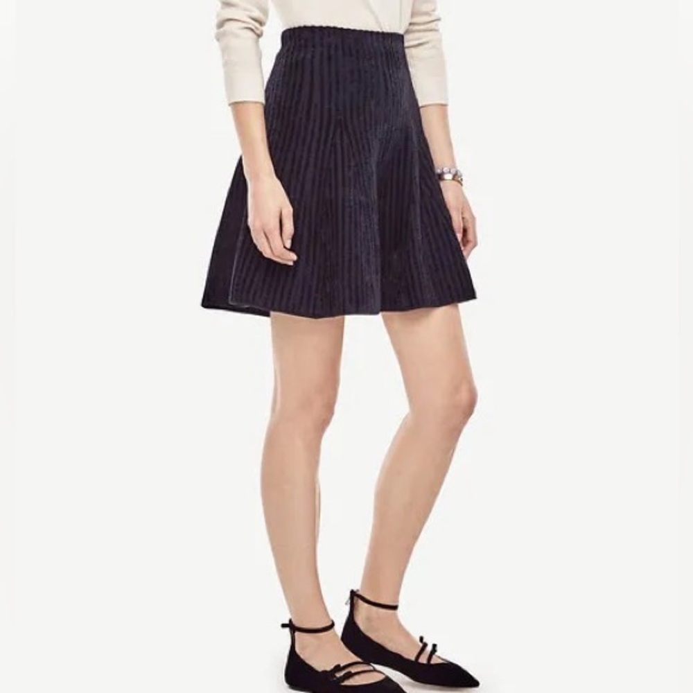 Ann Taylor Navy Blue Striped Flare Sweater Skirt
